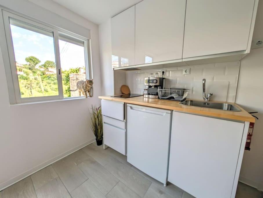 Estudio Vila Isabel - B Coimbra Kültér fotó